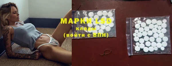 ешки Аркадак