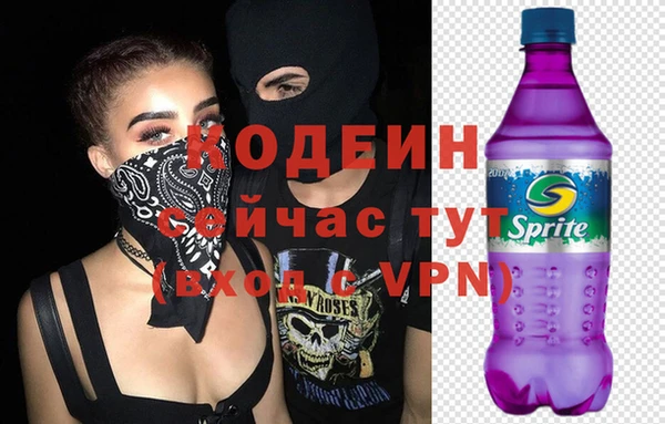соль ск Арсеньев