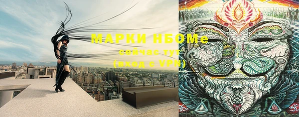 соль ск Арсеньев