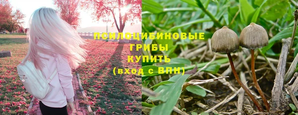 ешки Аркадак