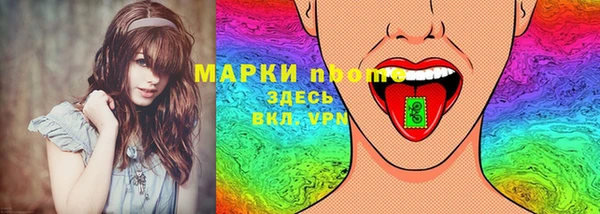 ешки Аркадак