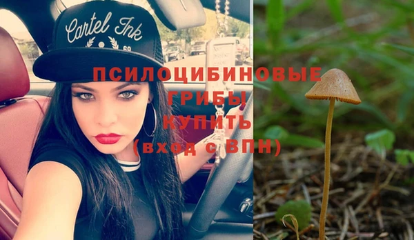 ешки Аркадак