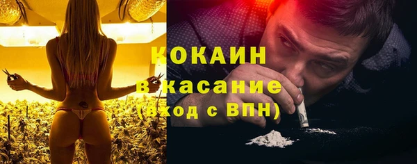 ешки Аркадак