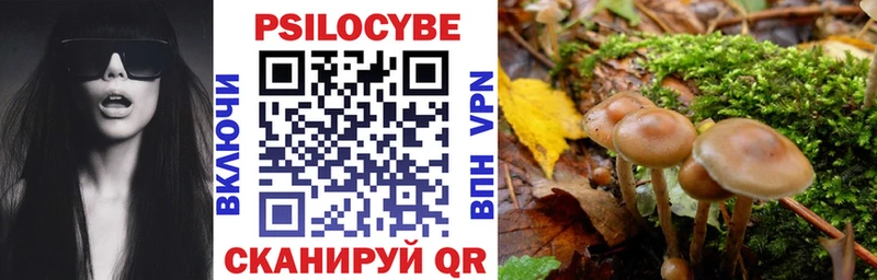 купить наркотик  Заполярный  hydra как войти  Галлюциногенные грибы мицелий 